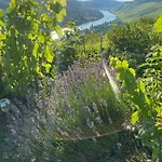 An Der Mosel 2 Graach