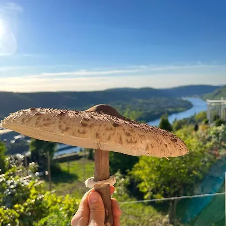 An Der Mosel 2 * Graach