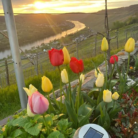 An Der Mosel 2 Apartamento