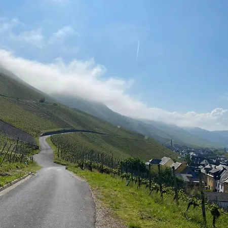 公寓 An Der Mosel 2