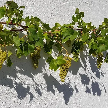 An Der Mosel 2 *