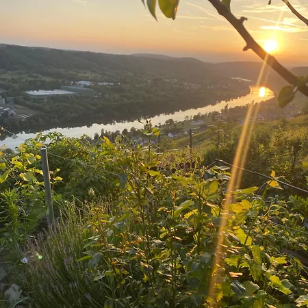 Lejlighed An Der Mosel 2 *