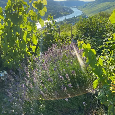 An Der Mosel 2 Graach