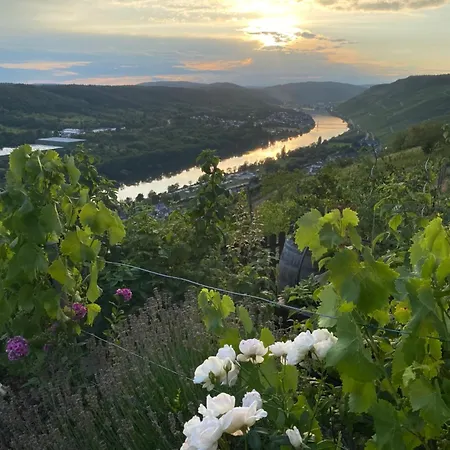 Apartamento An Der Mosel 2