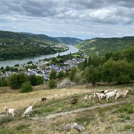 An Der Mosel 2 Apartamento *