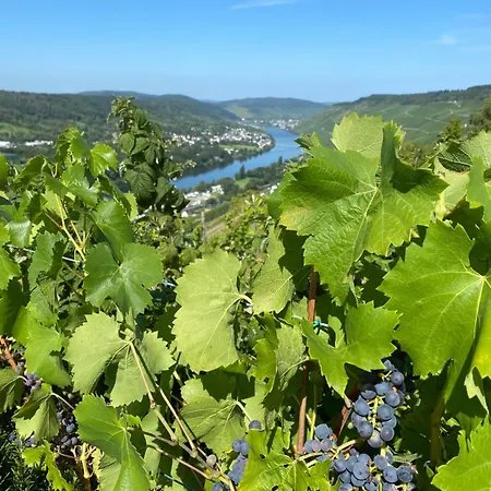Apartamento An Der Mosel 2 Graach
