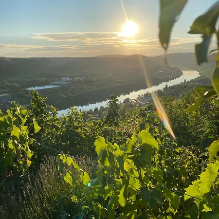 An Der Mosel 2