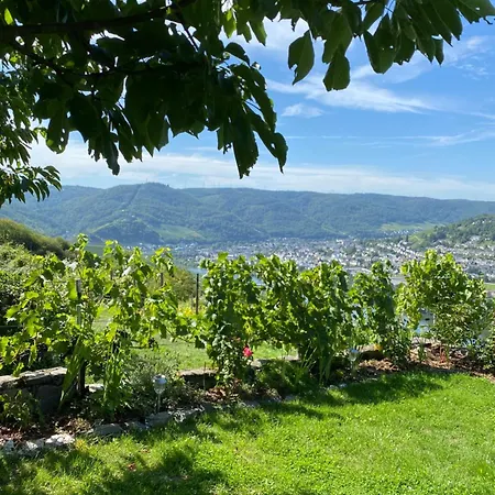 An Der Mosel 2 Graach