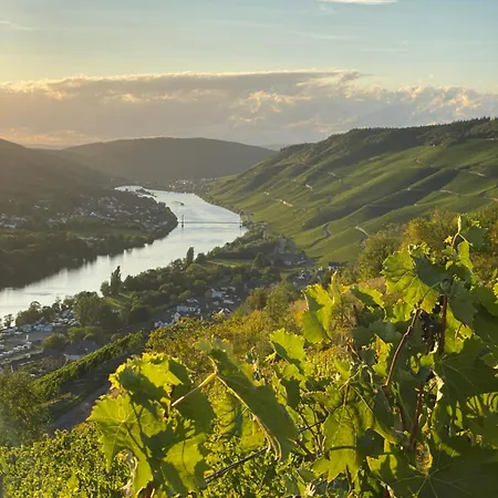 An Der Mosel 2 Appartamento