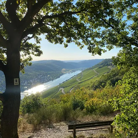 An Der Mosel 2 Apartment Graach