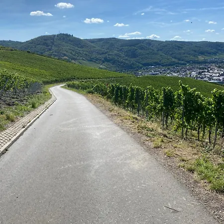 An Der Mosel 2