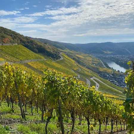 An Der Mosel 2 Apartamento Graach