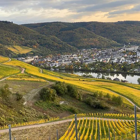 Apartment An Der Mosel 2 Graach