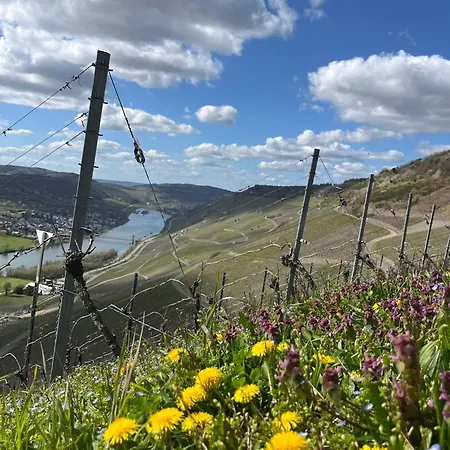 An Der Mosel 2 Graach