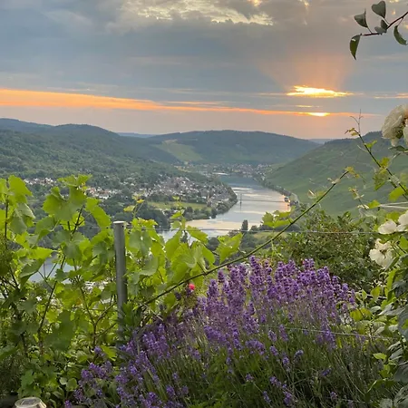 An Der Mosel 2 Appartamento