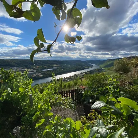 An Der Mosel 2 Graach