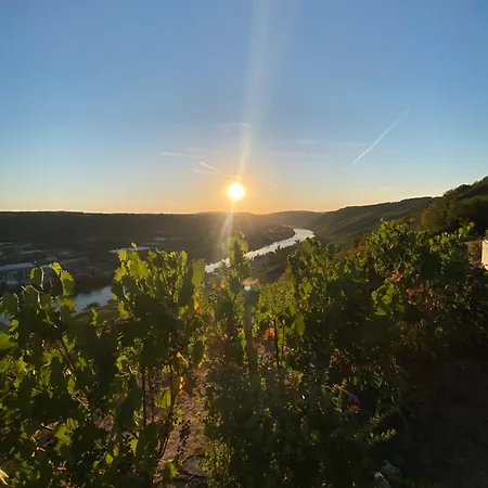 An Der Mosel 2 *