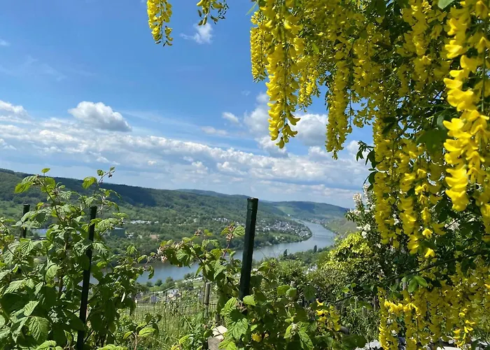 An Der Mosel 2 Apartament