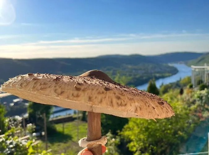 An Der Mosel 2 * Graach