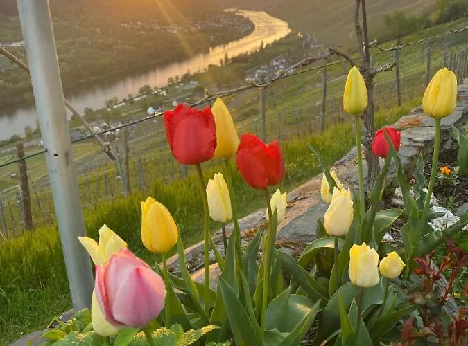 An Der Mosel 2 Apartament