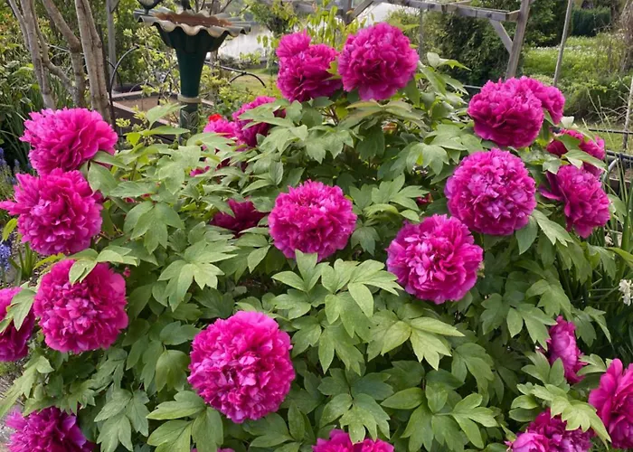 Appartement An Der Mosel 2