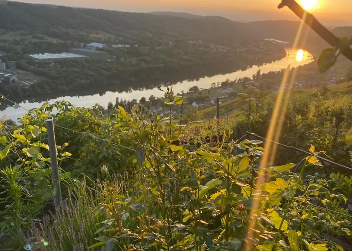 Appartement An Der Mosel 2 *
