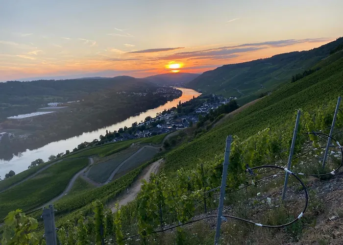 An Der Mosel 2 Appartement