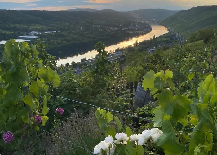 Appartement An Der Mosel 2