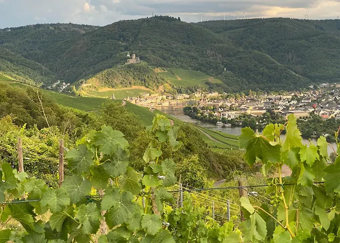 Apartament An Der Mosel 2