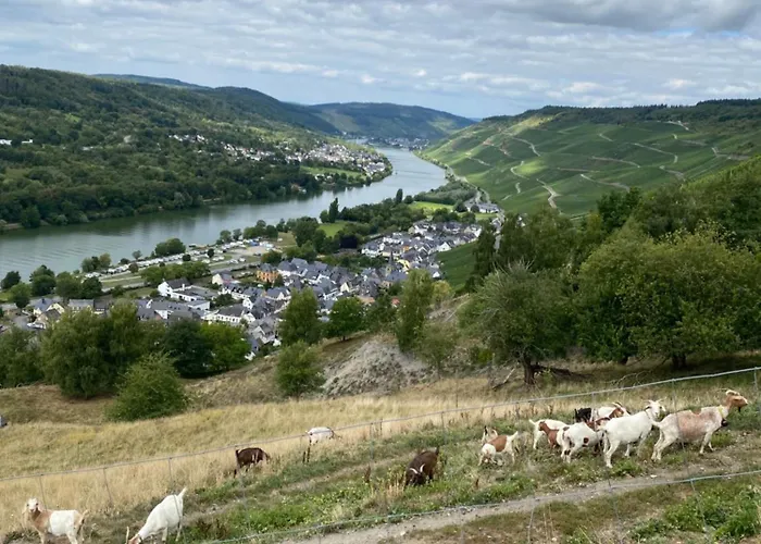 An Der Mosel 2 Apartament *