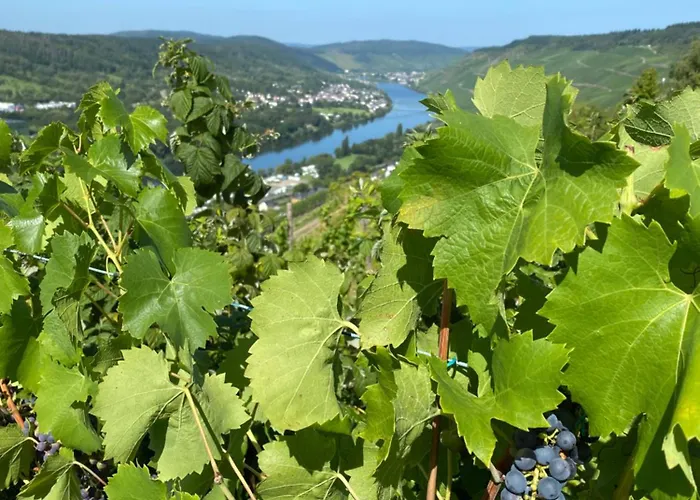 Apartament An Der Mosel 2 Graach