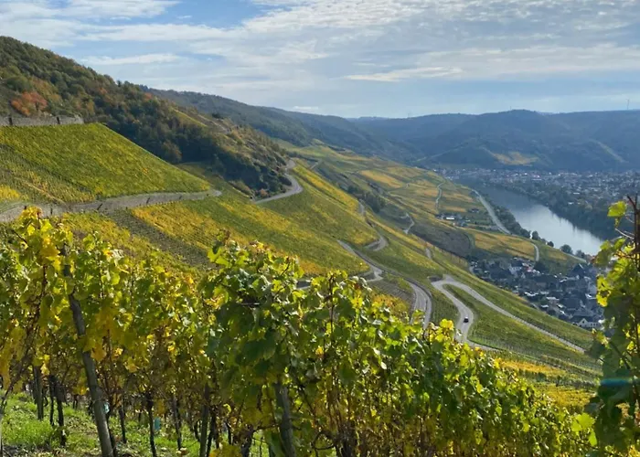 An Der Mosel 2 Appartement Graach